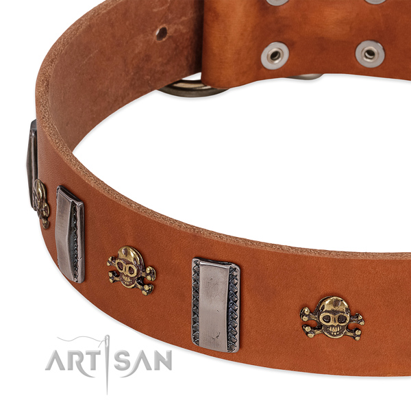 Inimitable dog collar of full grain leather with embellishments