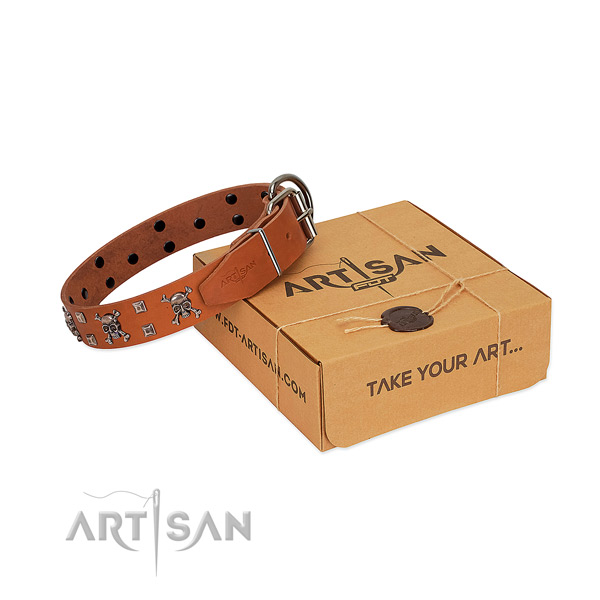 Durable natural leather dog collar with corrosion resistant traditional buckle