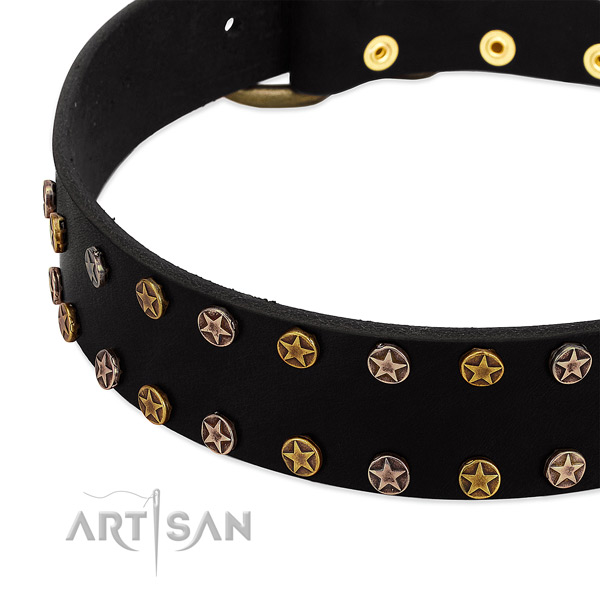 Stunning decorations on natural leather collar for your dog
