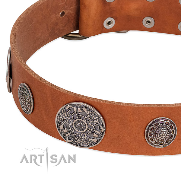 Rust-proof hardware on full grain leather dog collar