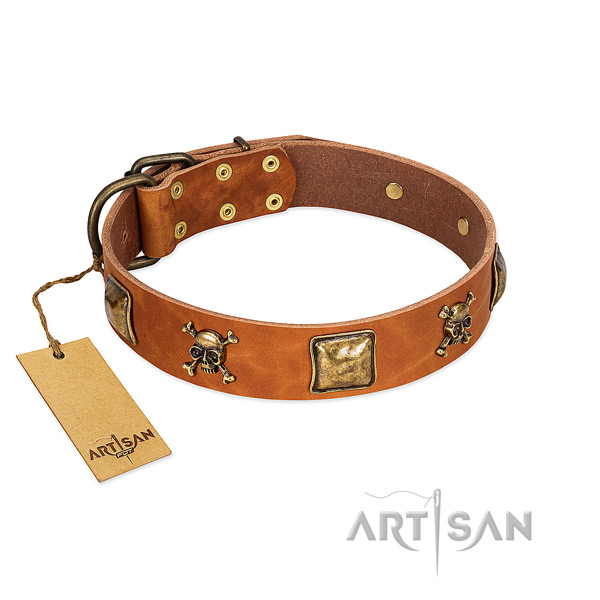 Amazing full grain leather dog collar with rust resistant decorations