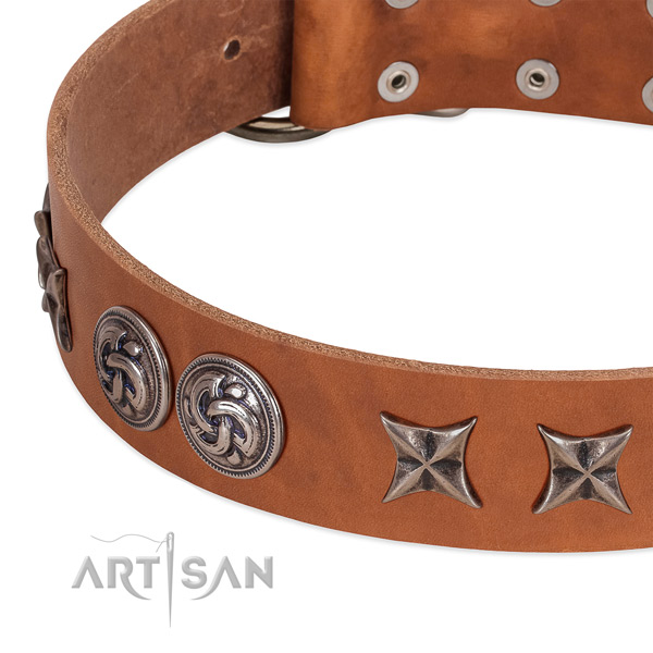 Leather collar with exquisite studs for your pet