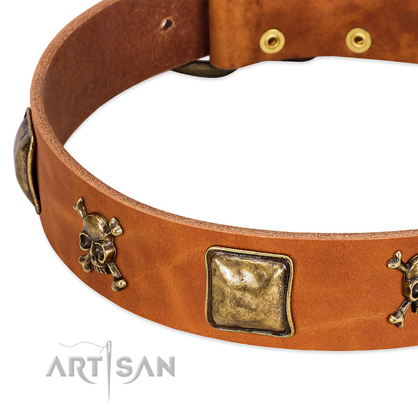 Unique embellishments on leather collar for your dog