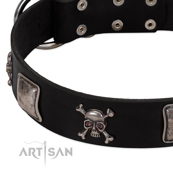Corrosion resistant embellishments on genuine leather dog collar