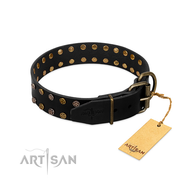 Full grain natural leather collar with fashionable embellishments for your dog
