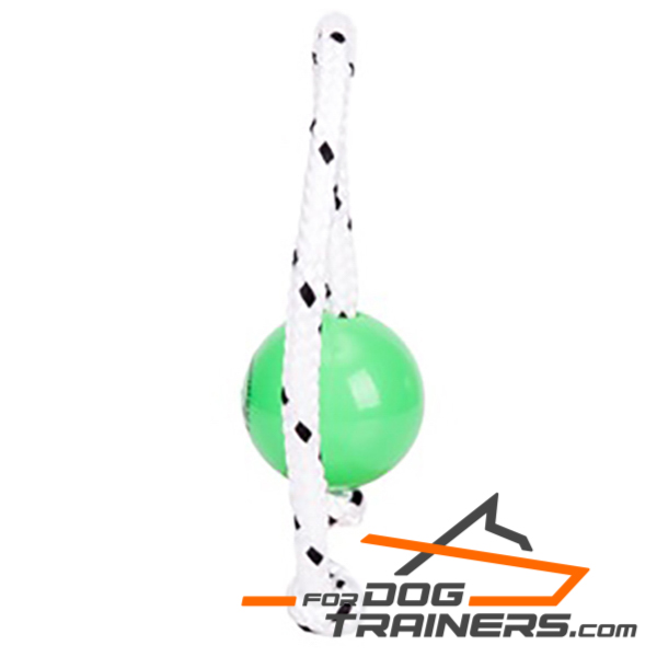 Dog green ball with a magnet inside