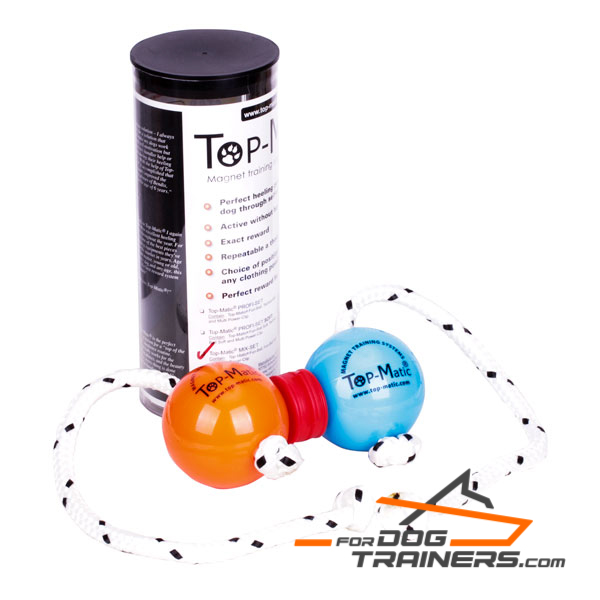 Nice balls for canine Training