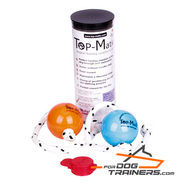 Super balls for canine Training