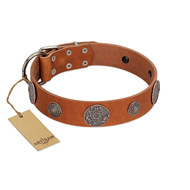 "Foxy Nature" FDT Artisan Tan Leather German Shepherd Collar with Chrome Plated Brooches