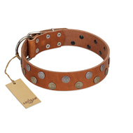 "Ancient Symbol" Trendy FDT Artisan Tan Leather German Shepherd Collar with Silver- and Gold-Like Studs