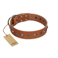 "Silver Age" Fashionable FDT Artisan Tan Leather German Shepherd Collar with Silver-Like Studs