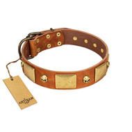 "Mutt The Daredevil" FDT Artisan Tan Leather German Shepherd Collar with Old Bronze-like Skulls and Plates
