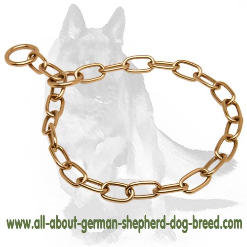 german shepherd choke collar