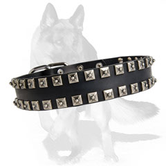 Decorated leather dog collar with square studs