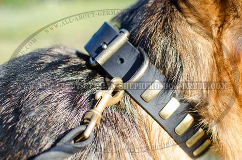 Chic leather dog collar exclusively decorated