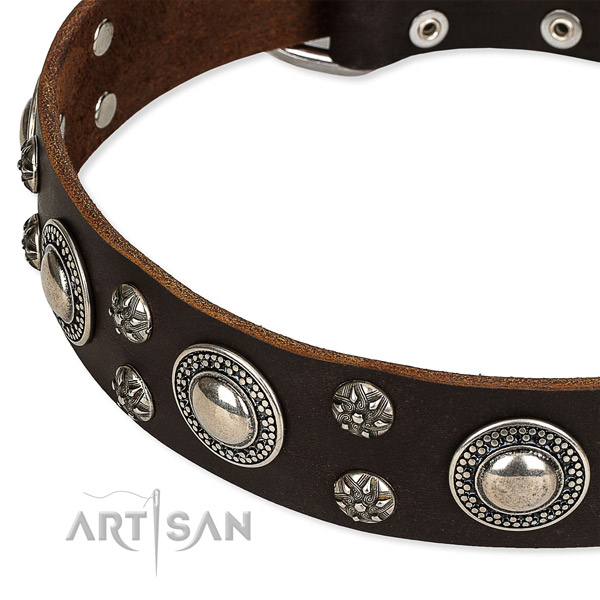 Snugly fitted leather dog collar with resistant durable fittings