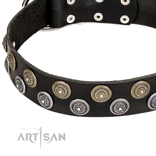 Easy to use leather dog collar with almost unbreakable rust-proof fittings