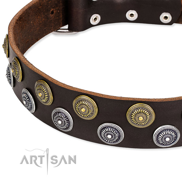 Quick to fasten leather dog collar with resistant to tear and wear chrome  plated buckle and D-ring