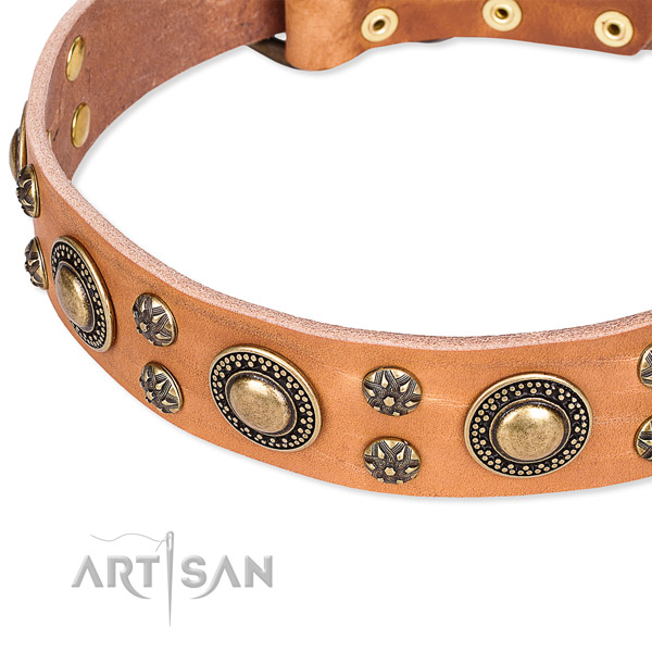 Easy to put on/off leather dog collar with resistant to tear and wear rust-proof fittings
