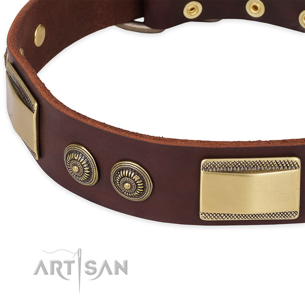 Daily use full grain genuine leather collar with rust-proof buckle and D-ring