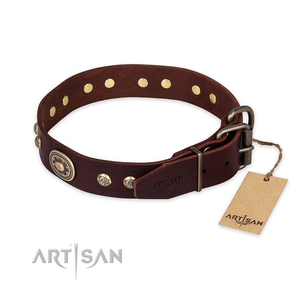 Daily use leather collar with studs for your canine