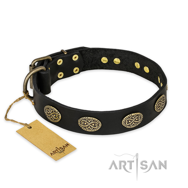 Everyday walking full grain natural leather collar with studs for your doggie