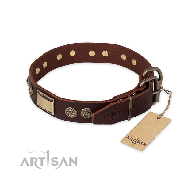 Everyday use genuine leather collar with studs for your doggie