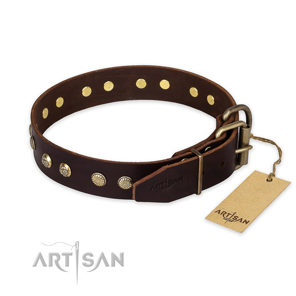Daily walking full grain natural leather collar with adornments for your dog