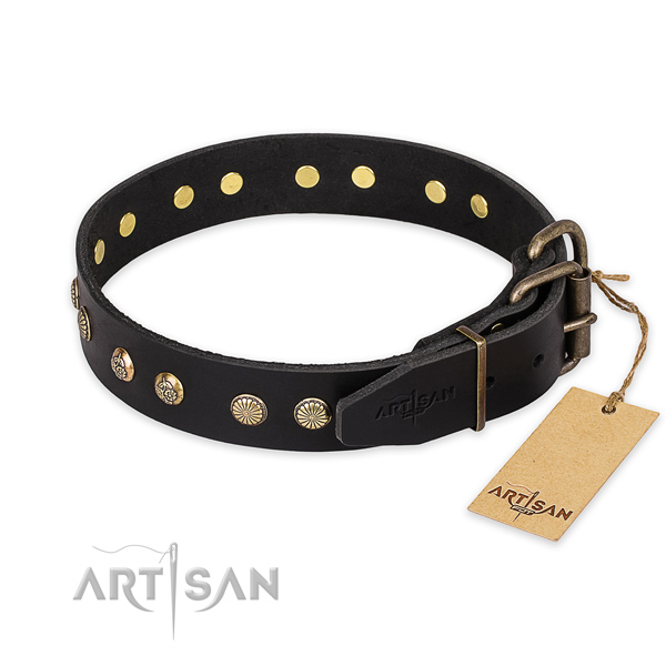 Everyday walking leather collar with embellishments for your four-legged friend
