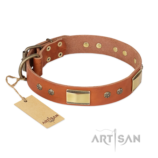 Inimitable design embellishments on full grain genuine leather dog collar