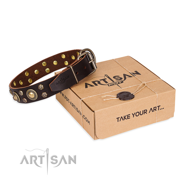 Casual leather dog collar with incredible studs