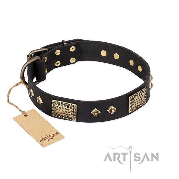 Extraordinary design decorations on leather dog collar