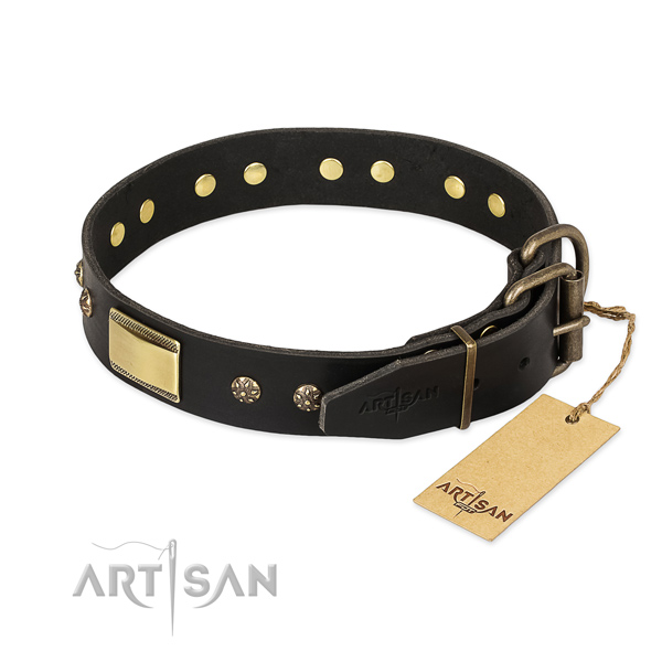 Unique design studs on full grain natural leather dog collar