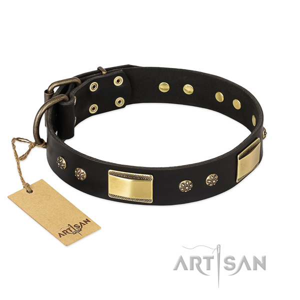 Walking natural genuine leather collar with studs for your pet