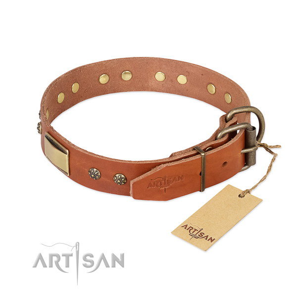 Walking full grain leather collar with studs for your pet