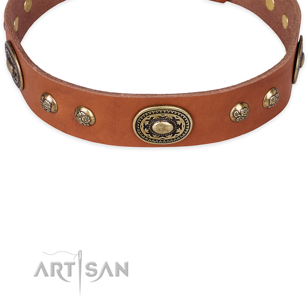Daily walking full grain leather collar with rust resistant buckle and D-ring