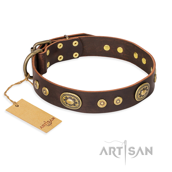 Hardwearing leather dog collar with reliable elements