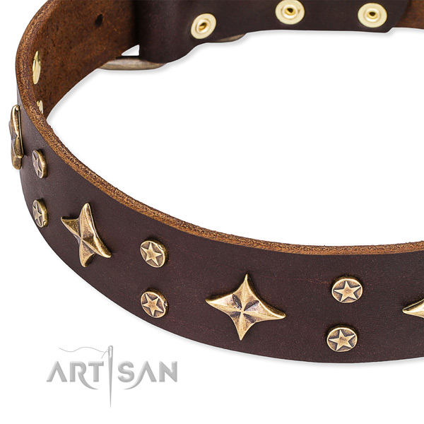 Easy to adjust leather dog collar with extra strong rust-proof hardware