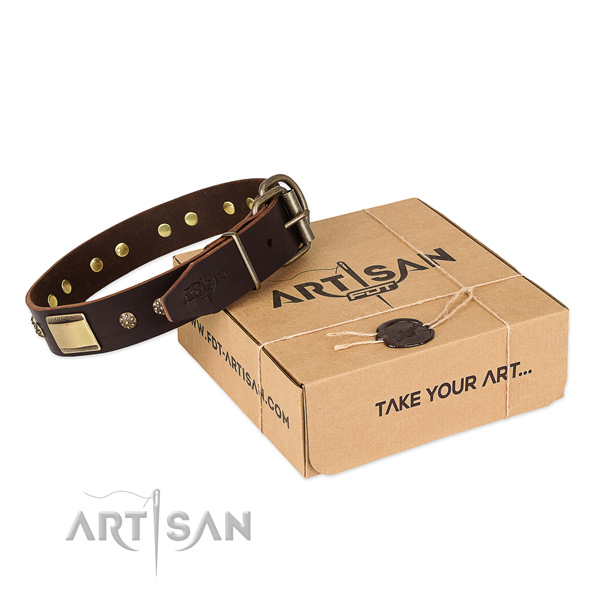 Trendy full grain genuine leather dog collar for walking in style