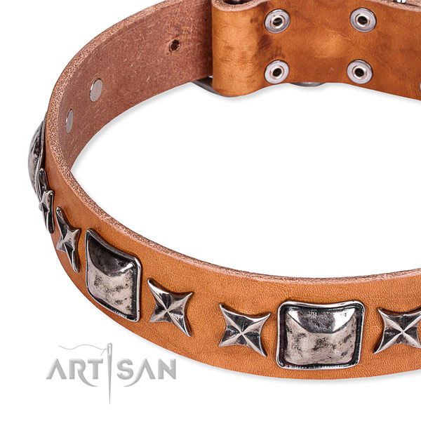 Quick to fasten leather dog collar with extra sturdy rust-proof fittings