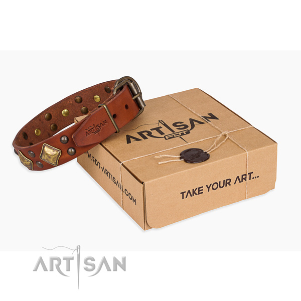Finest quality genuine leather dog collar for walking in style