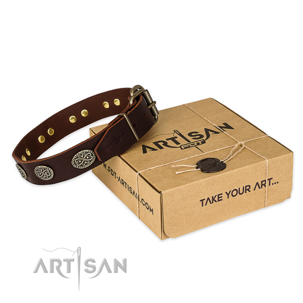 Stylish full grain natural leather dog collar for everyday use