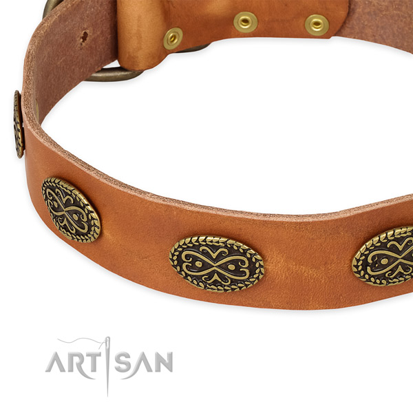 Easy to put on/off leather dog collar with resistant durable fittings
