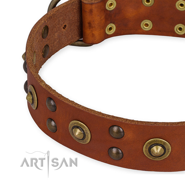 Quick to fasten leather dog collar with extra strong rust-proof set of hardware
