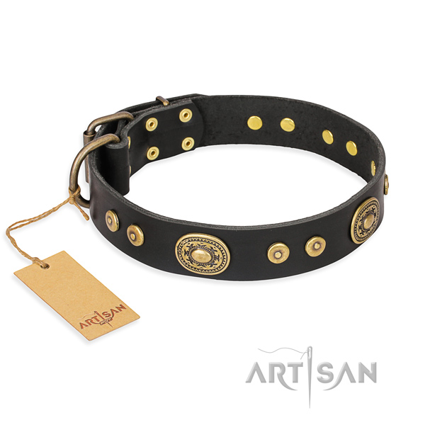 Tough leather dog collar with non-rusting hardware