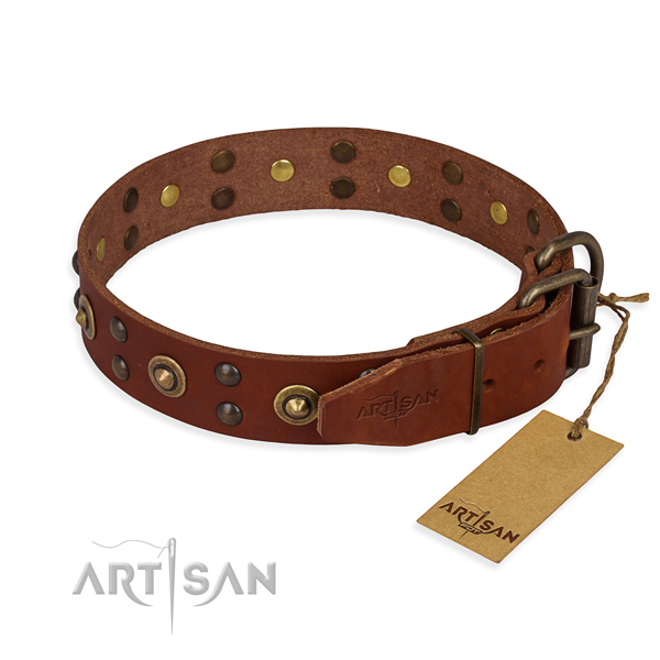 Daily walking full grain natural leather collar with decorations for your doggie