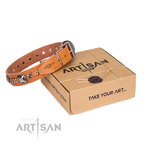 High quality full grain leather dog collar for stylish walks