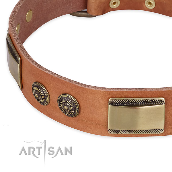 Everyday walking full grain leather collar with durable buckle and D-ring