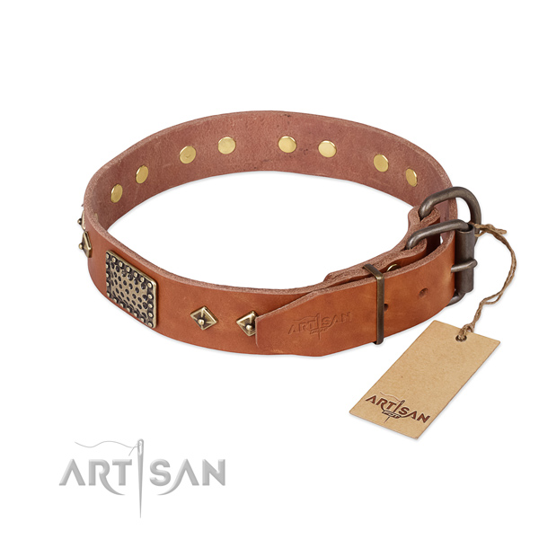 Walking natural genuine leather collar with studs for your doggie