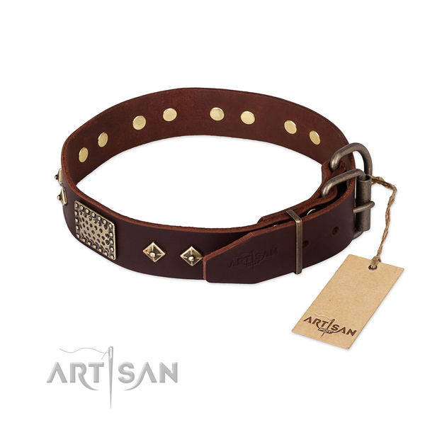 Stylish walking genuine leather collar with embellishments for your doggie